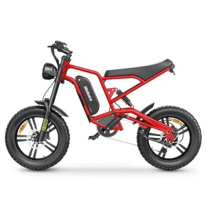 Bicicleta Elétrica HIDOES B6