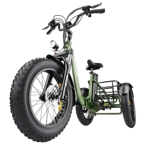 Triciclo Elétrico HIDOES ET1