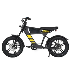 Bicicleta Elétrica MANGOSTEEN FT03